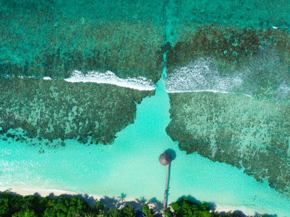 Photo Bahamas coral reefs